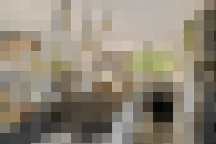 Essenstraat 50 Spijkenisse thumbnail 13