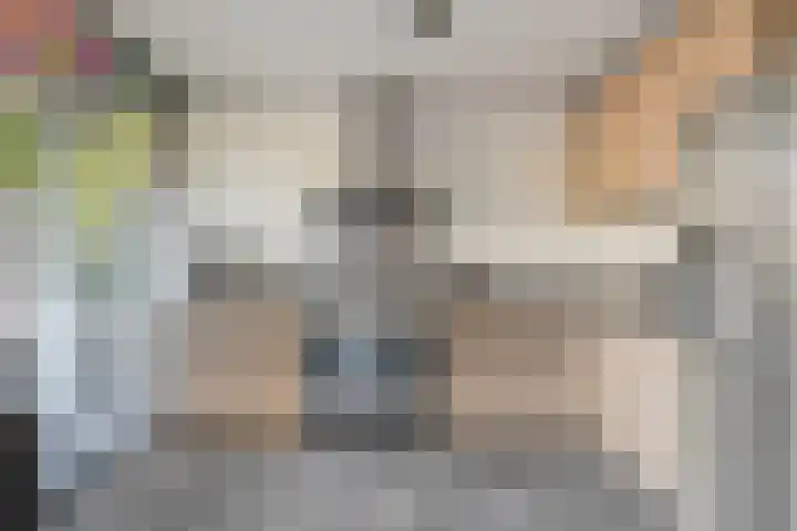 Essenstraat 50 Spijkenisse thumbnail 14