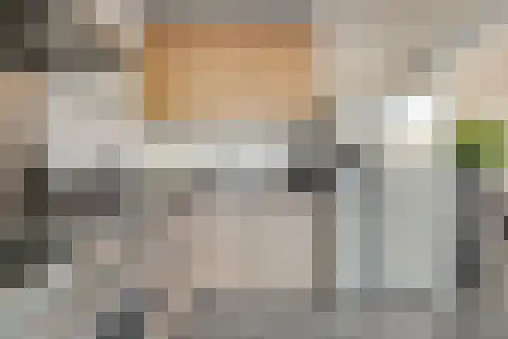 Essenstraat 50 Spijkenisse thumbnail 16
