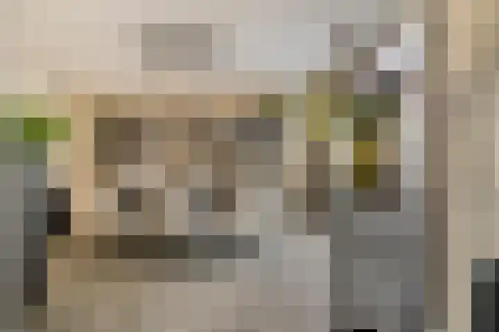 Essenstraat 50 Spijkenisse thumbnail 17