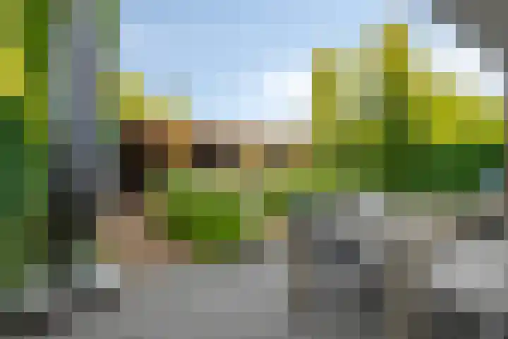 Essenstraat 50 Spijkenisse thumbnail 18