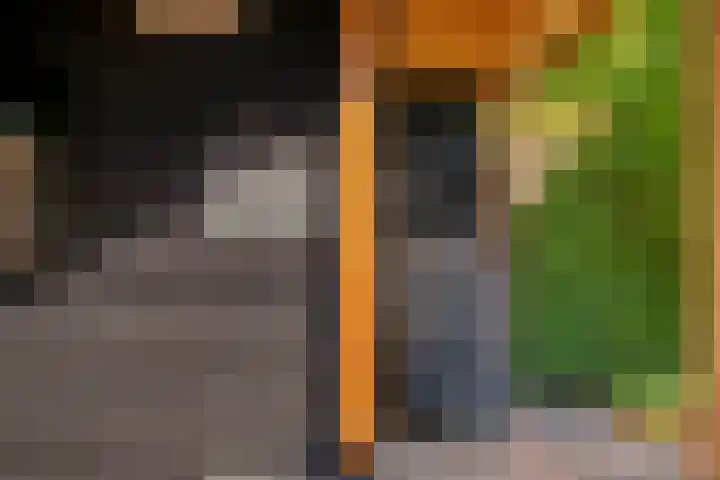 Essenstraat 50 Spijkenisse thumbnail 20
