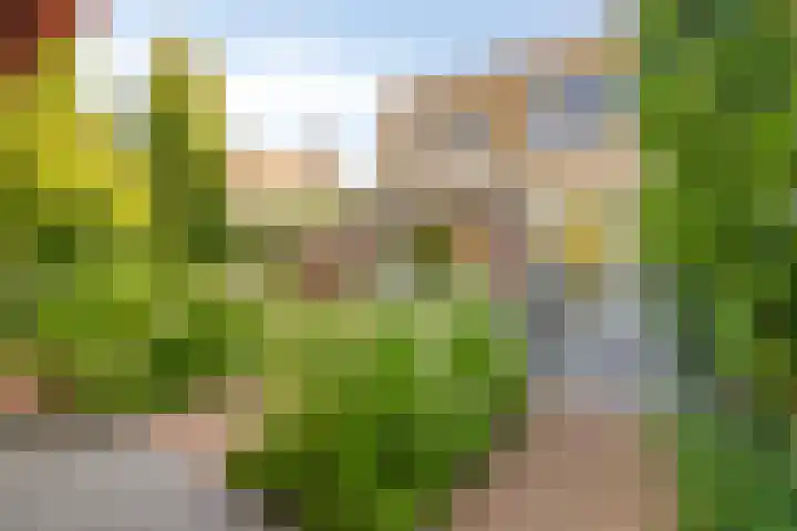 Essenstraat 50 Spijkenisse thumbnail 21