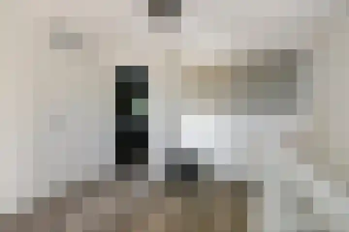 Essenstraat 50 Spijkenisse thumbnail 23