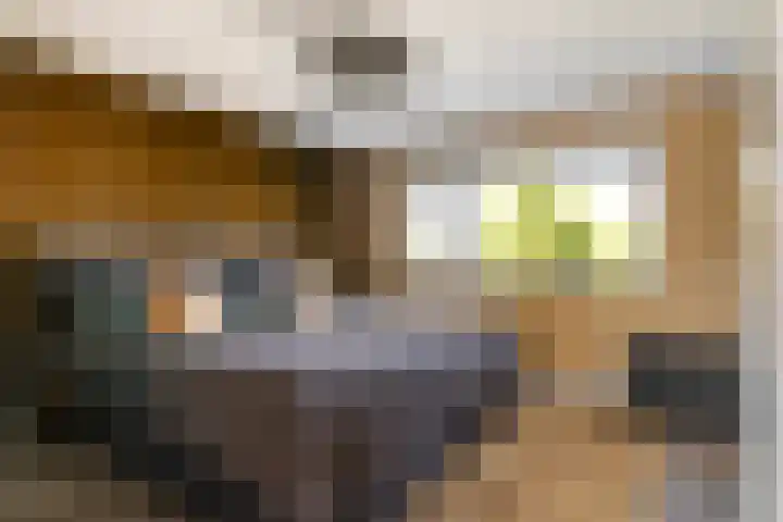 Essenstraat 50 Spijkenisse thumbnail 24