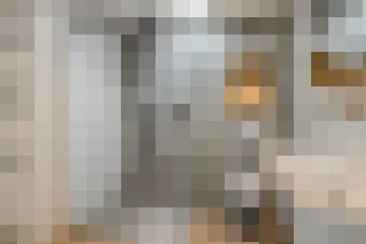 Essenstraat 50 Spijkenisse thumbnail 28