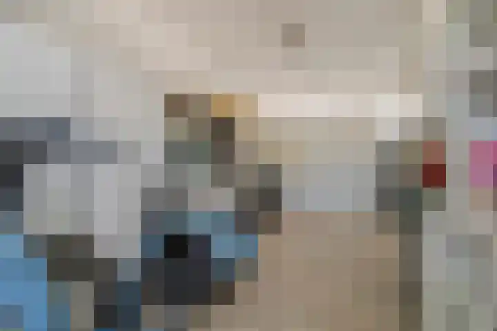 Essenstraat 50 Spijkenisse thumbnail 34