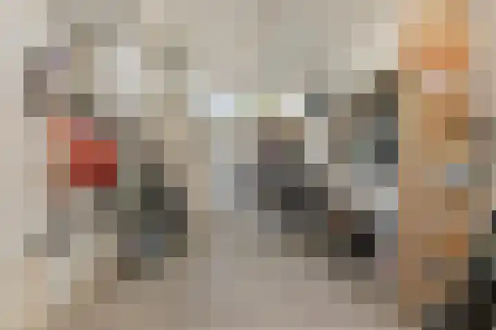 Essenstraat 50 Spijkenisse thumbnail 35