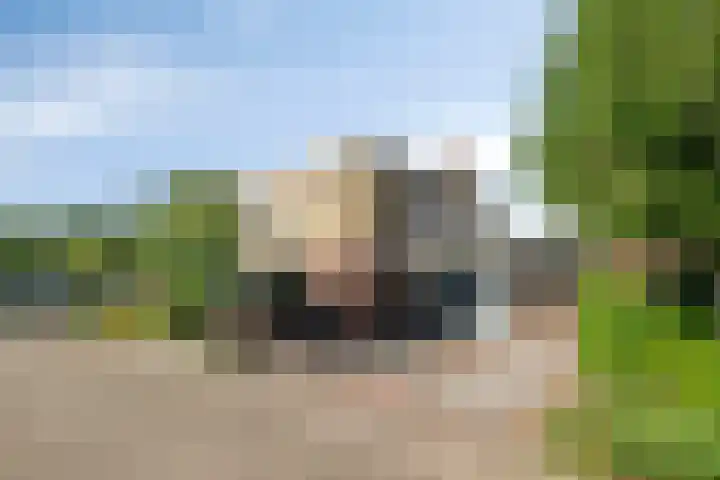 Essenstraat 50 Spijkenisse thumbnail 36