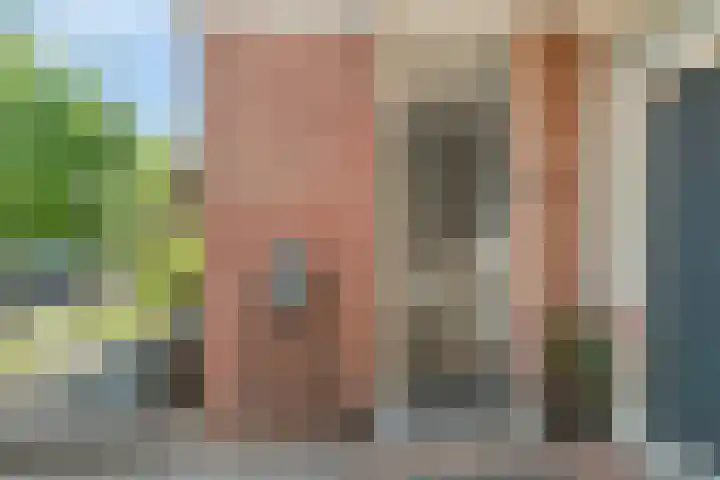 Essenstraat 50 Spijkenisse thumbnail 37