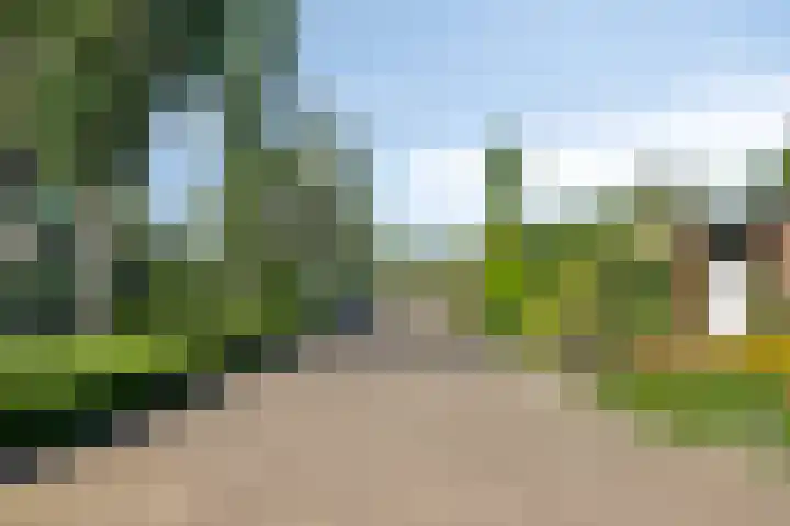 Essenstraat 50 Spijkenisse thumbnail 38