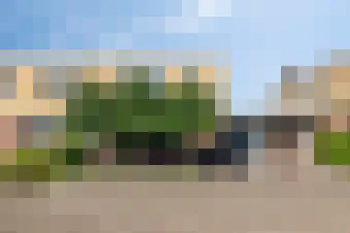 Essenstraat 50 Spijkenisse thumbnail 47