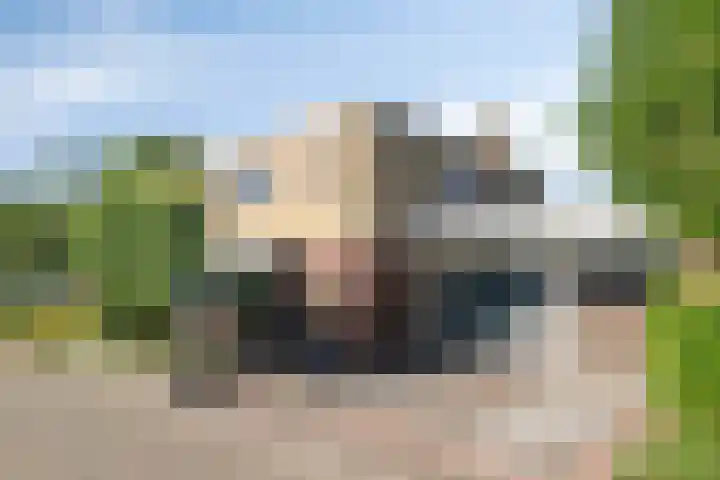 Essenstraat 50 Spijkenisse thumbnail 5