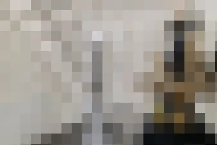 Essenstraat 50 Spijkenisse thumbnail 7