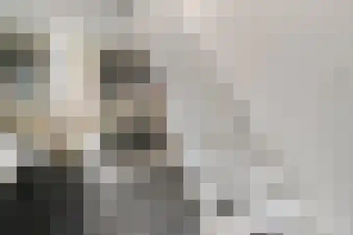 Essenstraat 50 Spijkenisse thumbnail 9