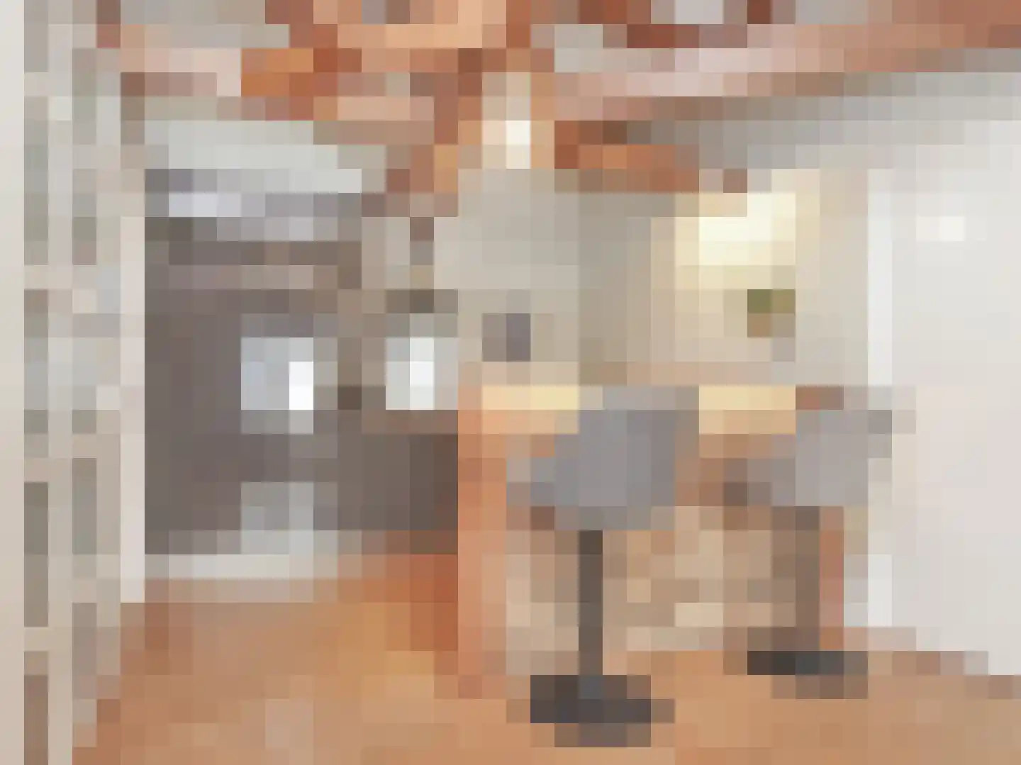 Essenstraat 7 Haarlem thumbnail 14