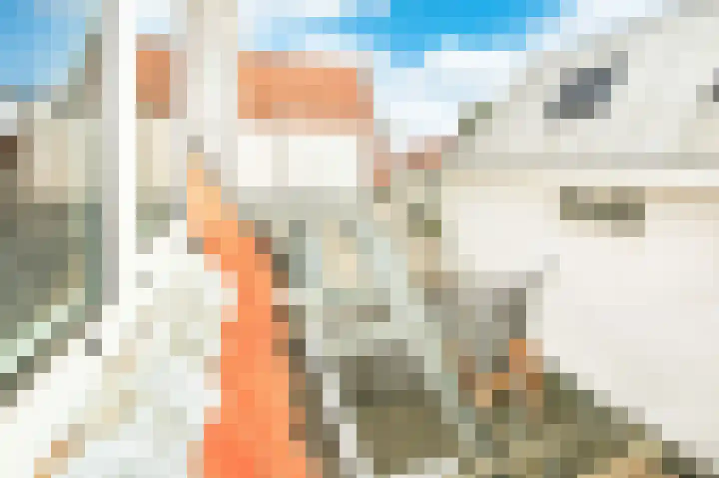 Essenstraat 7 Haarlem thumbnail 22