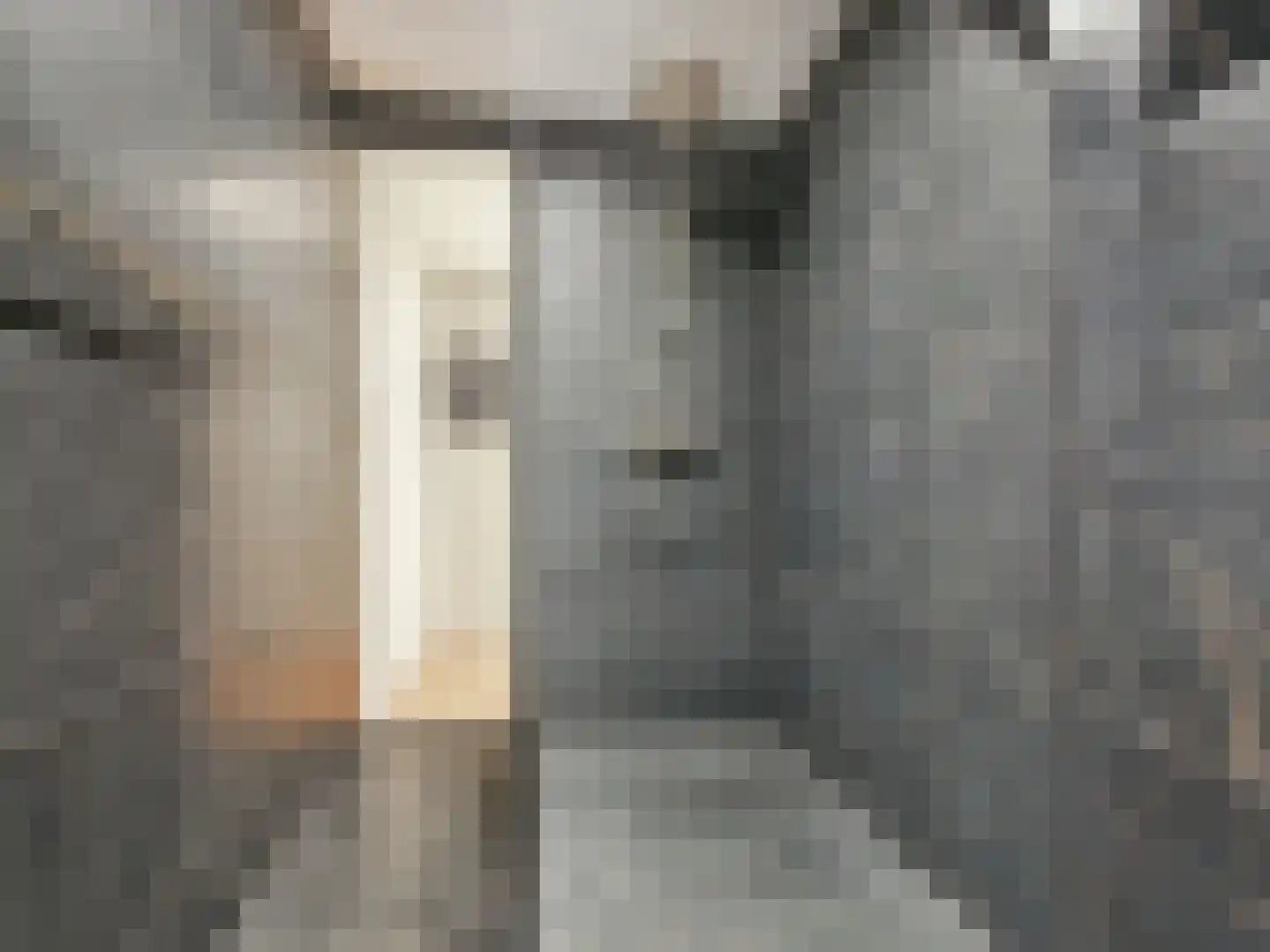 Essenstraat 7 Haarlem thumbnail 36
