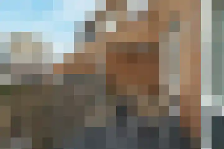 Essenwede 19 Barendrecht thumbnail 4
