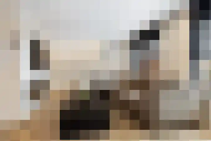 Essenwede 29 Barendrecht thumbnail 13