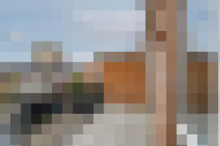 Essenwede 29 Barendrecht thumbnail 38
