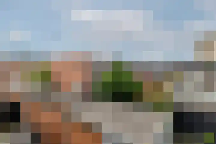 Essenwede 29 Barendrecht thumbnail 39