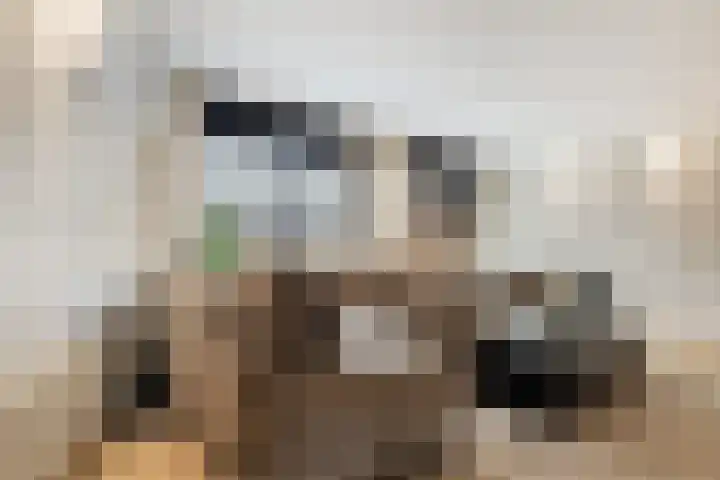 Essenwede 29 Barendrecht thumbnail 4
