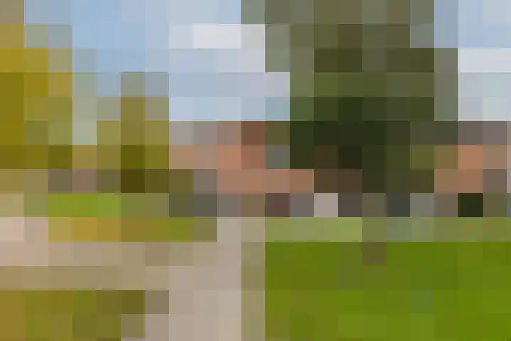 Essenwede 29 Barendrecht thumbnail 41