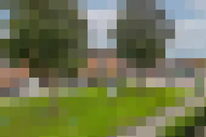 Essenwede 29 Barendrecht thumbnail 42