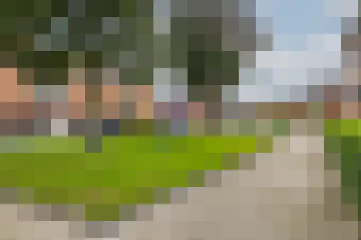Essenwede 29 Barendrecht thumbnail 43