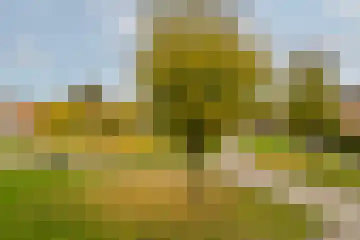 Essenwede 29 Barendrecht thumbnail 6