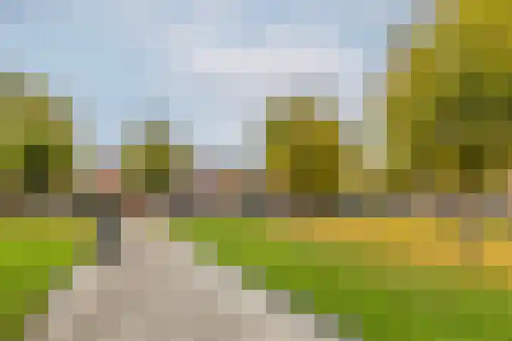 Essenwede 29 Barendrecht thumbnail 7