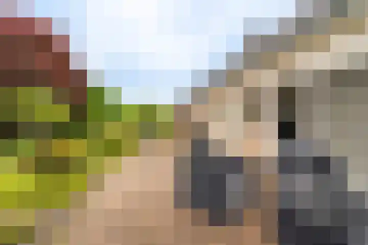 Essenweg 22 Hoogezand thumbnail 24