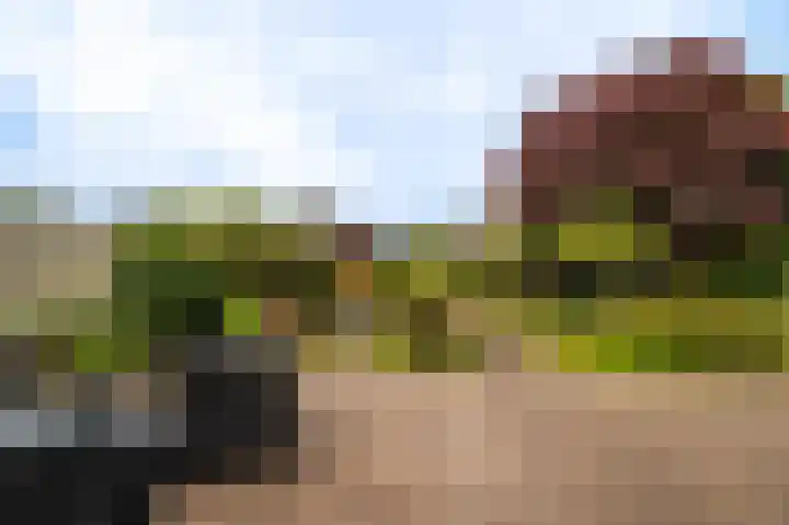 Essenweg 22 Hoogezand thumbnail 25