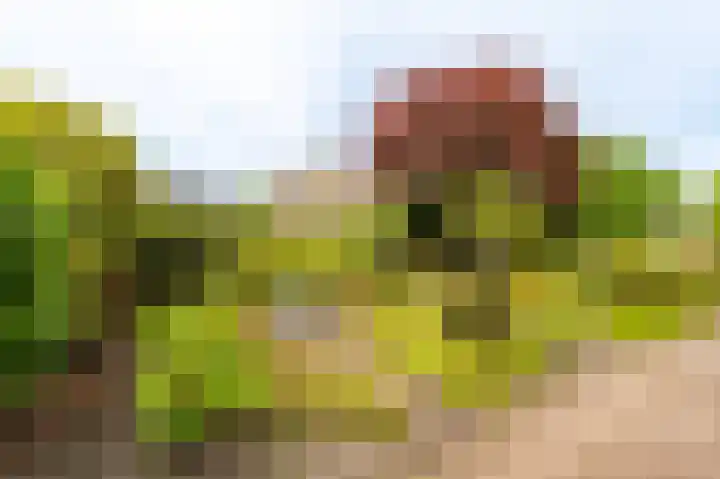 Essenweg 22 Hoogezand thumbnail 27