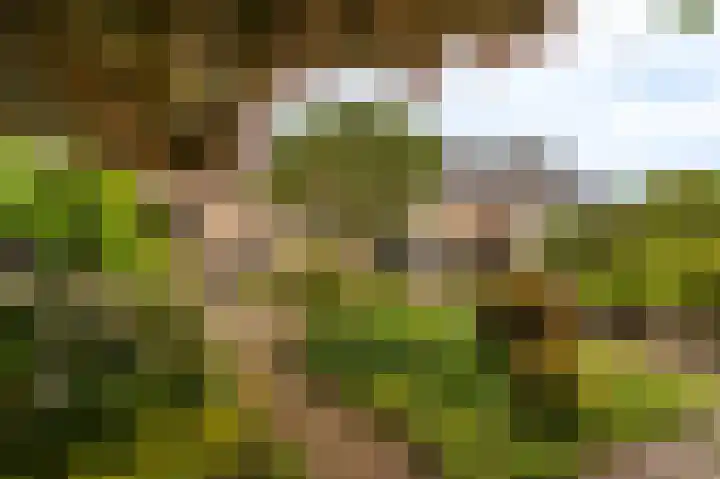 Essenweg 22 Hoogezand thumbnail 28