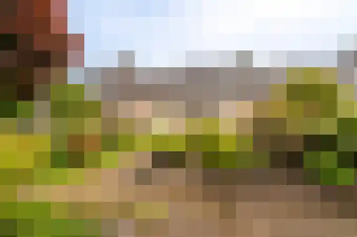 Essenweg 22 Hoogezand thumbnail 29