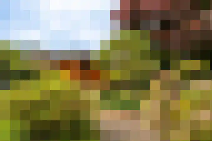 Essenweg 22 Hoogezand thumbnail 30