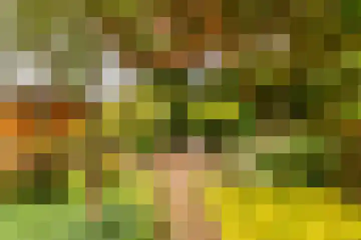 Essenweg 22 Hoogezand thumbnail 31