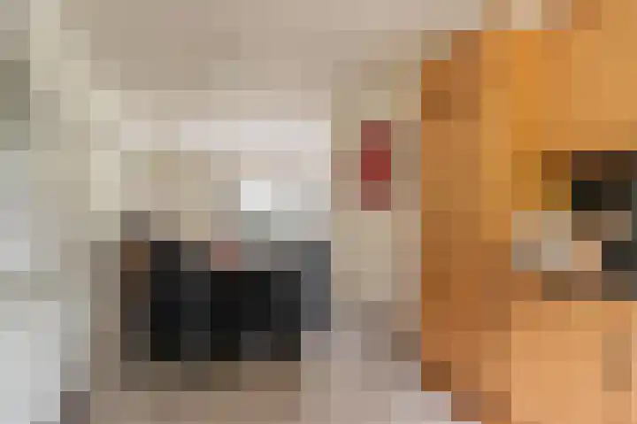 Essenweg 22 Hoogezand thumbnail 35