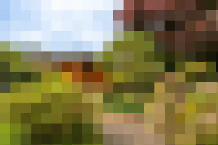 Essenweg 22 Hoogezand thumbnail 4