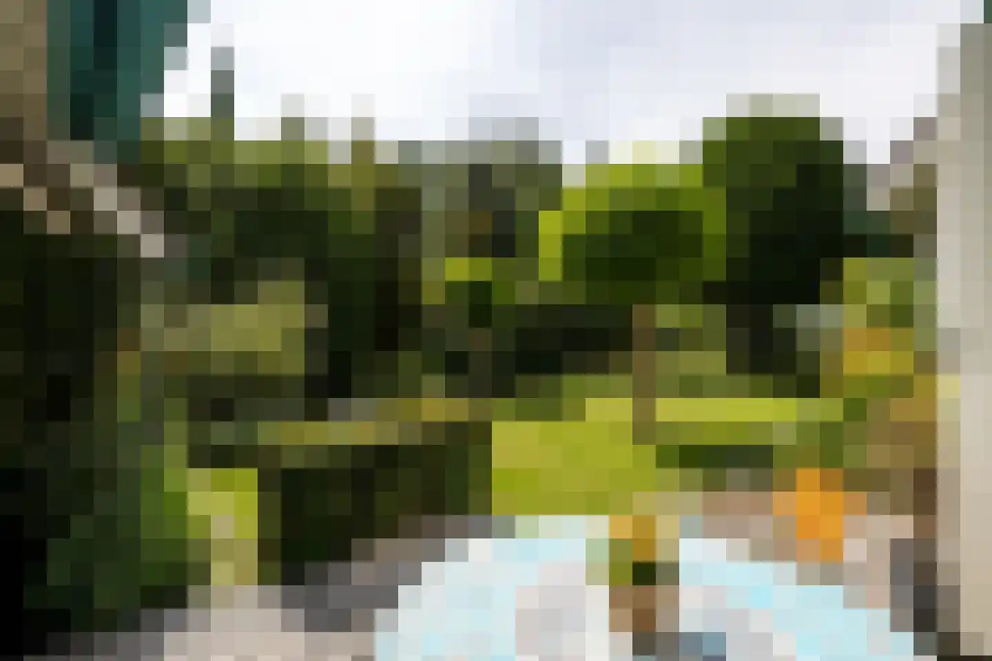 Essenweg 26 Rotterdam thumbnail 56