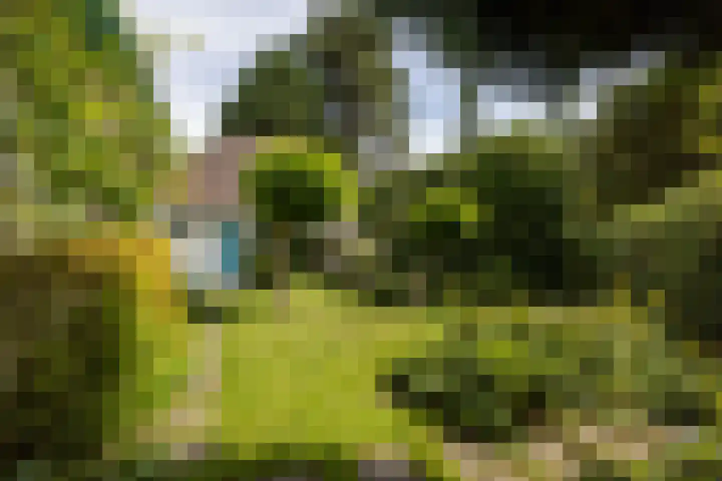 Essenweg 26 Rotterdam thumbnail 61