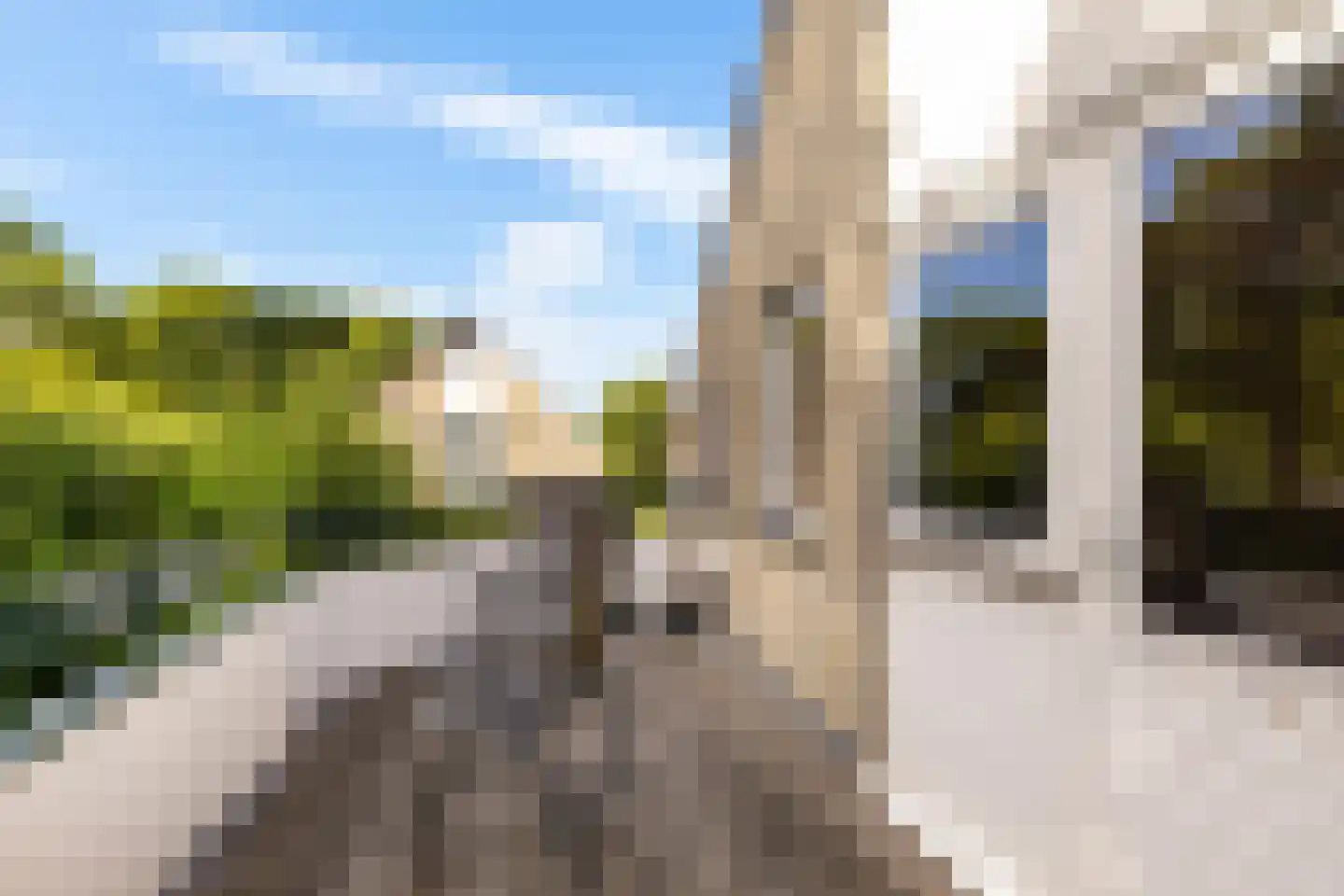 Esserhaag 5 Groningen thumbnail 30