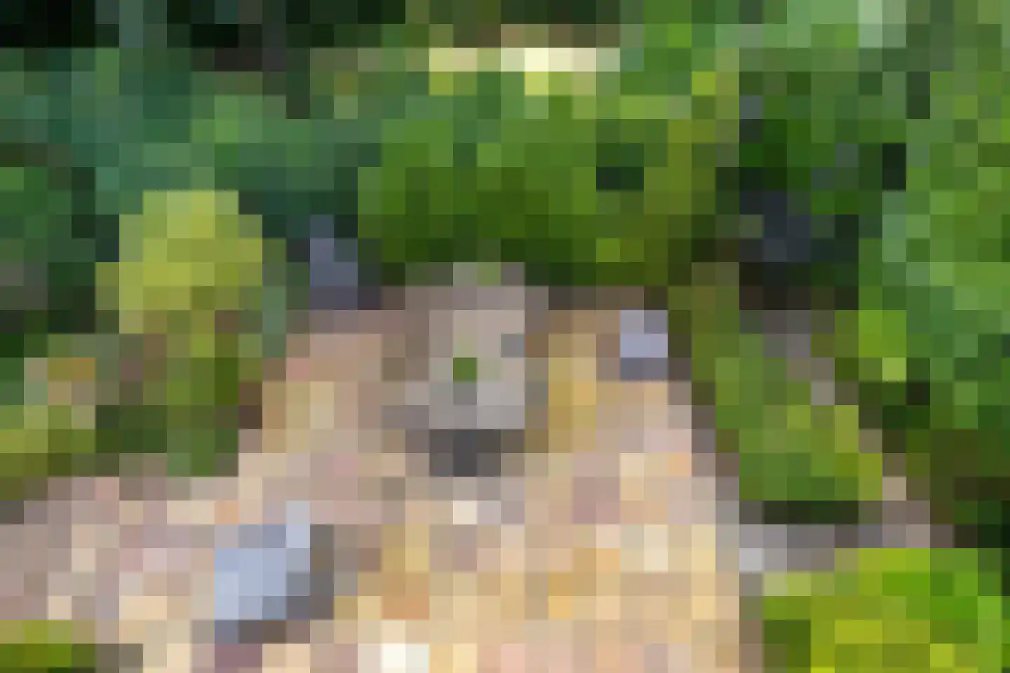 Esserhaag 5 Groningen thumbnail 32
