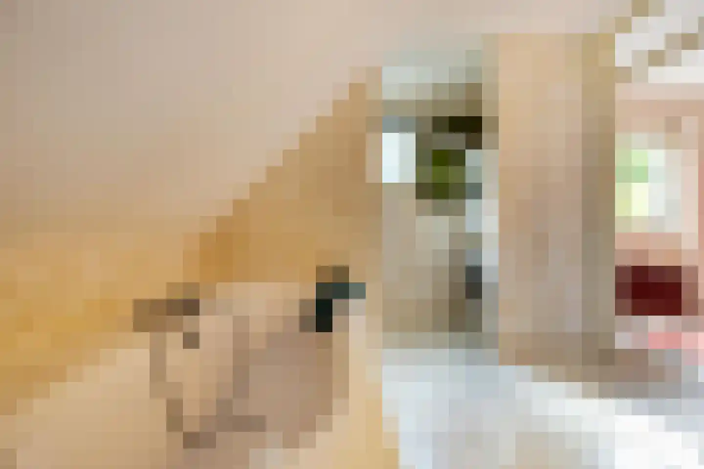 Esserhaag 5 Groningen thumbnail 37