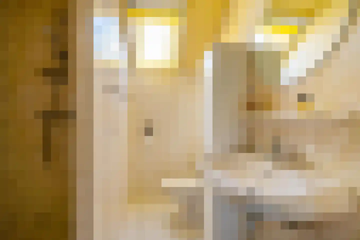 Esserhaag 5 Groningen thumbnail 43