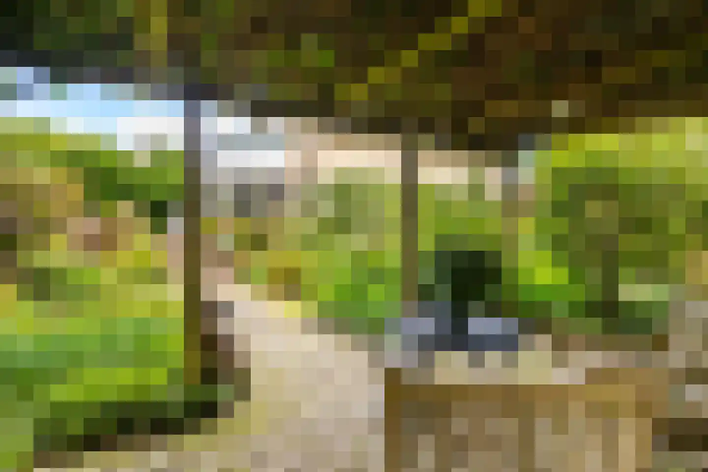 Esserhaag 5 Groningen thumbnail 5