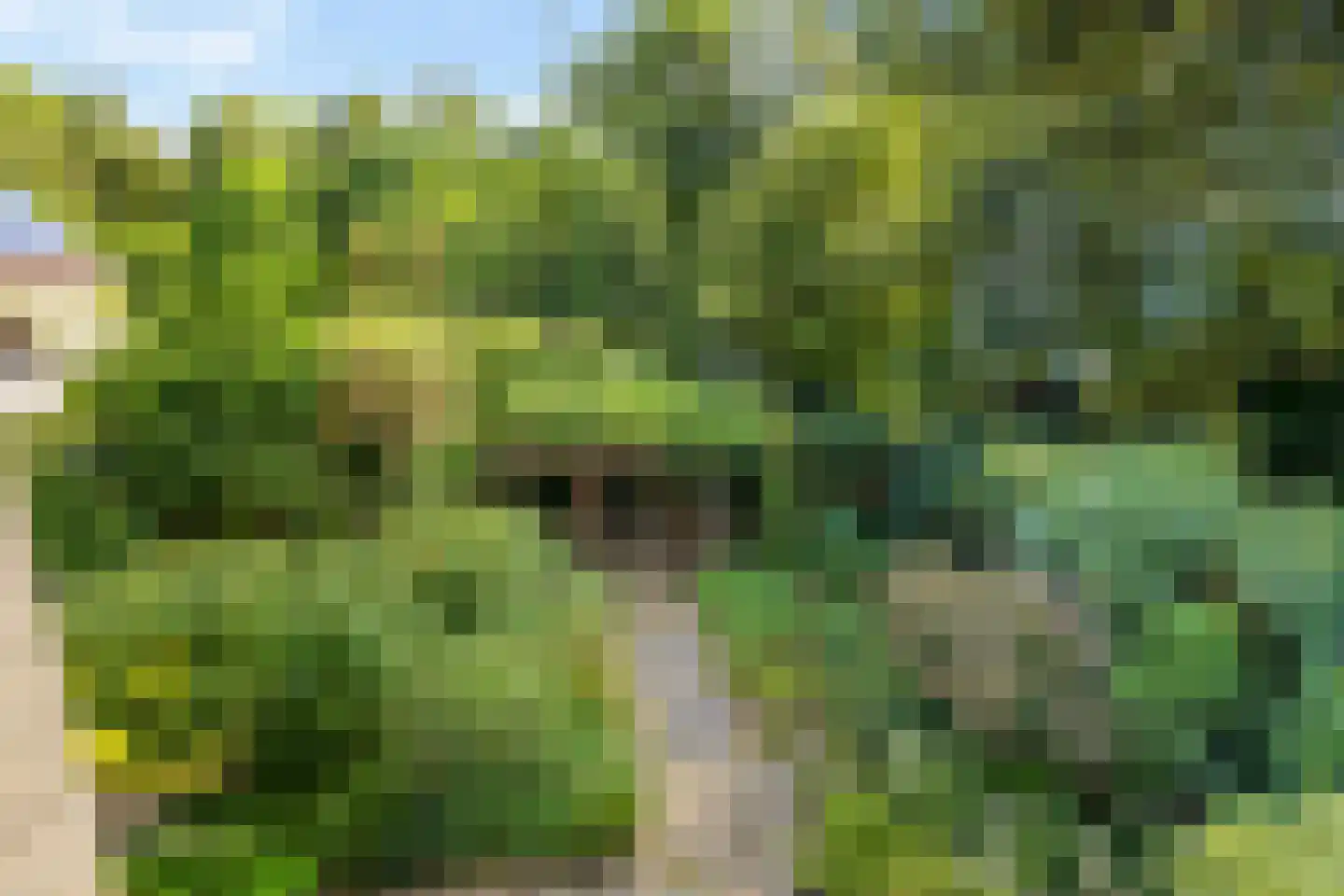 Esserhaag 5 Groningen thumbnail 63