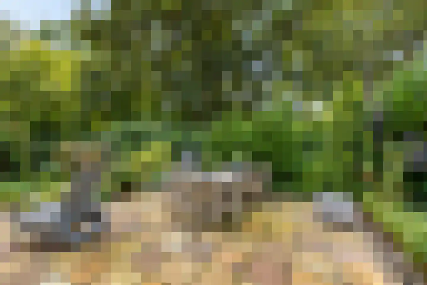Esserhaag 5 Groningen thumbnail 64